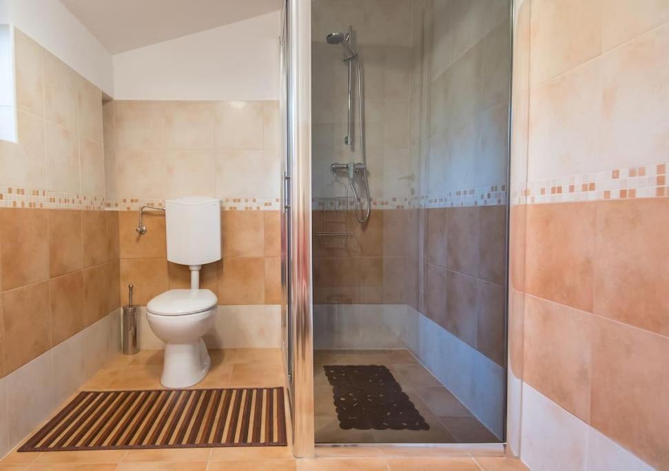 Alek Apartment Novigrad  Bagian luar foto