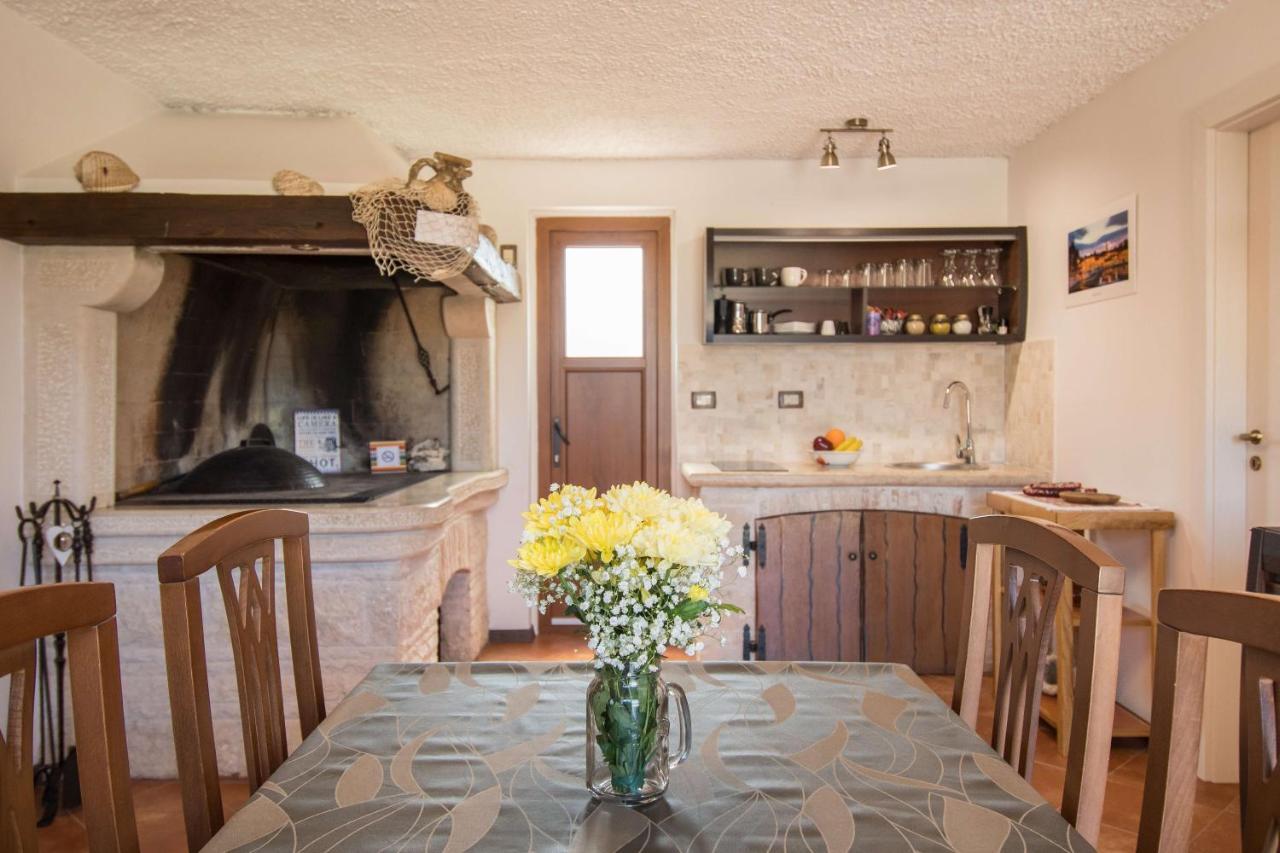 Alek Apartment Novigrad  Bagian luar foto